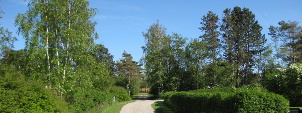 Vestergård