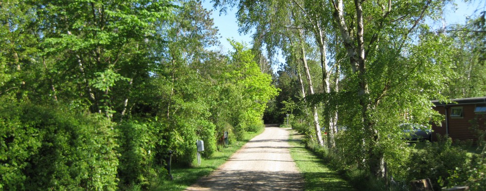 Vestergård